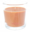 Свеча ароматическая 9,5 х 9,5 см в стекле &quot;True scents /Яблоко с корицей /Bolsius&quot; (43 ч) / 262617