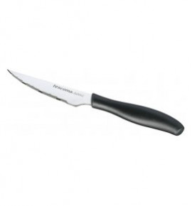 Нож 10 см для стейка "Tescoma /SONIC" / 142309