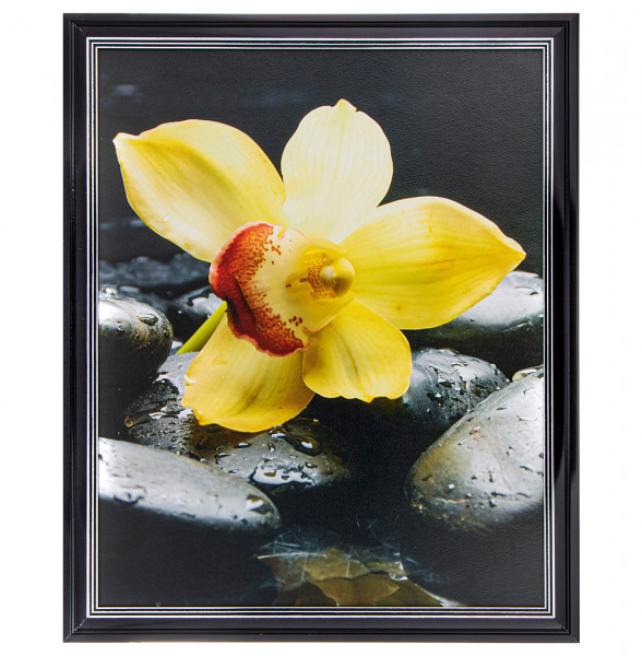 Фотопостер 40 х 50 см  ООО &quot;Лэнд Арт&quot; &quot;Жёлтая орхидея&quot; /рамка чёрный лак с серебром / 275090