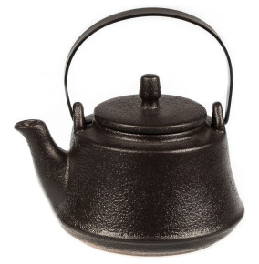 Заврочный чайник 600 мл с металлическим ситом  P.L. Proff Cuisine "Black Star" / 322255